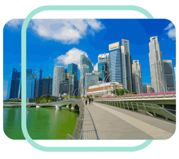 Stock Image - Focus Group - Test 2 + Blue Tramline - Left and Right (5)-1