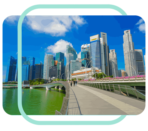 Stock Image - Focus Group - Test 2 + Blue Tramline - Left and Right (5)-1